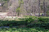 姫川源流自然探勝園