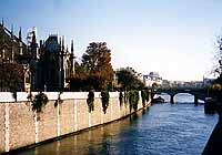 Cite and Seine