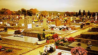 ゴッホが眠るオーヴェル村の墓地