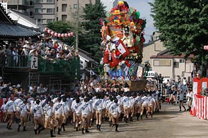 豪華な舁山/八番・上川端通