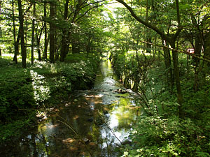 矢ヶ崎川