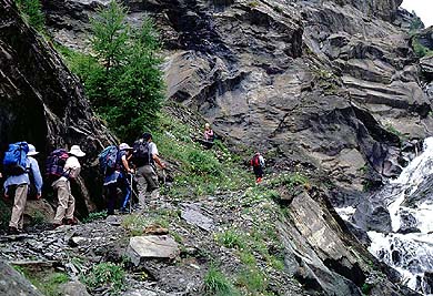 花咲く登山道