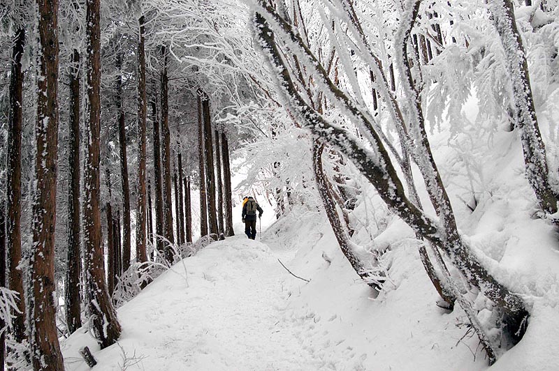 雪の山道を行く