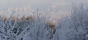 NHKで放映された雪景色