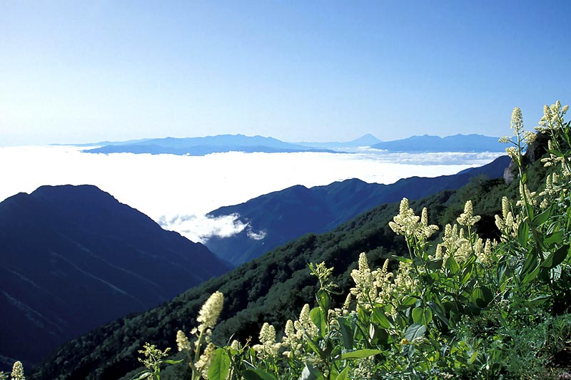 富士遠景2