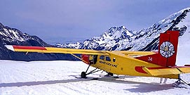 タスマン氷河に着陸したセスナ機