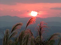 夕日