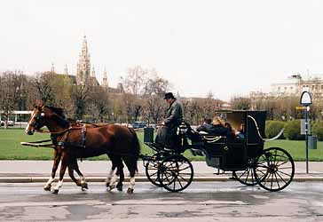 Coach running in Vienna