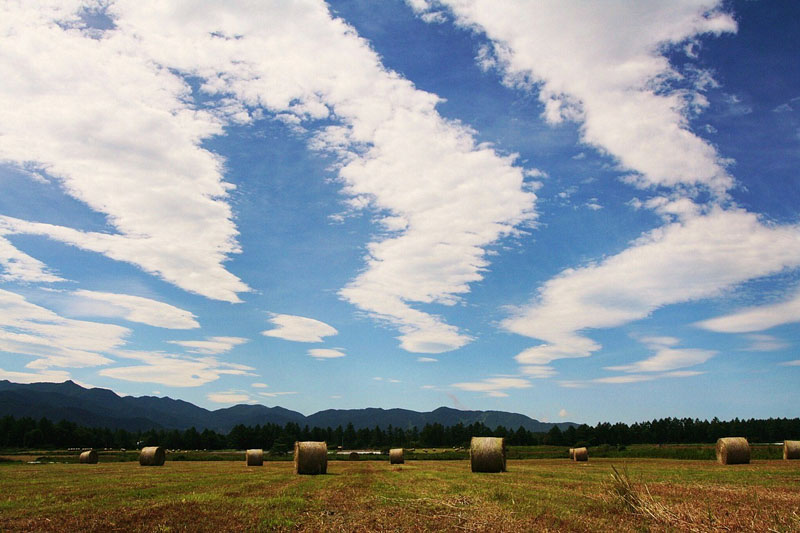 梅雨明けの青空と白雲/野辺山高原(長野県) 2009.07.15