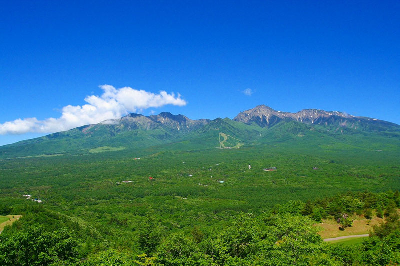 夏の八ケ岳