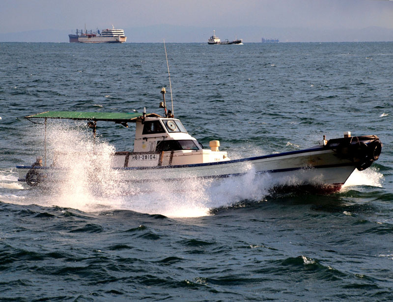 明石海峡の高速漁船