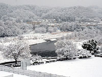 降雪の多摩川
