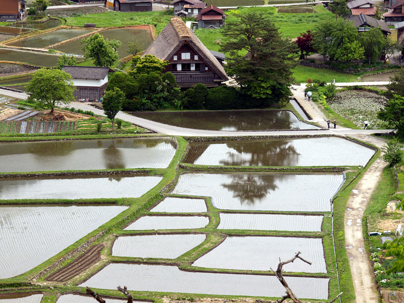新緑の白川郷 2/2 2012.05.30