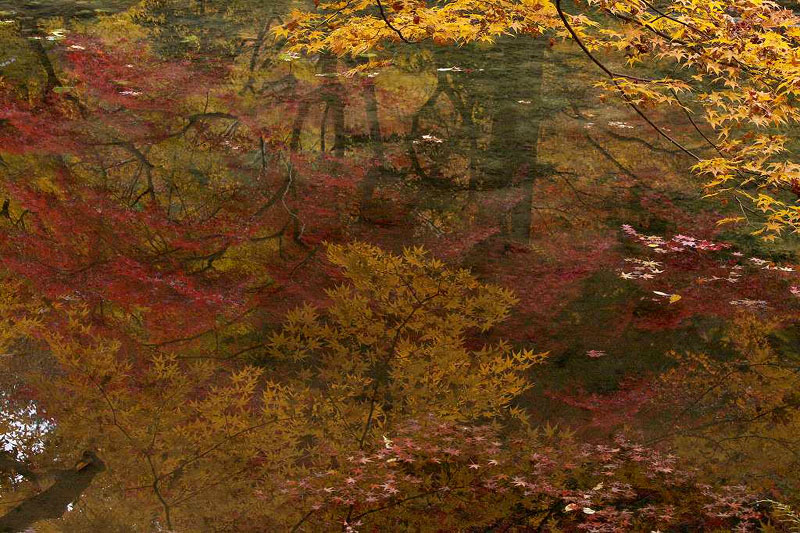 京都・南禅院の紅葉 2007.11.28
