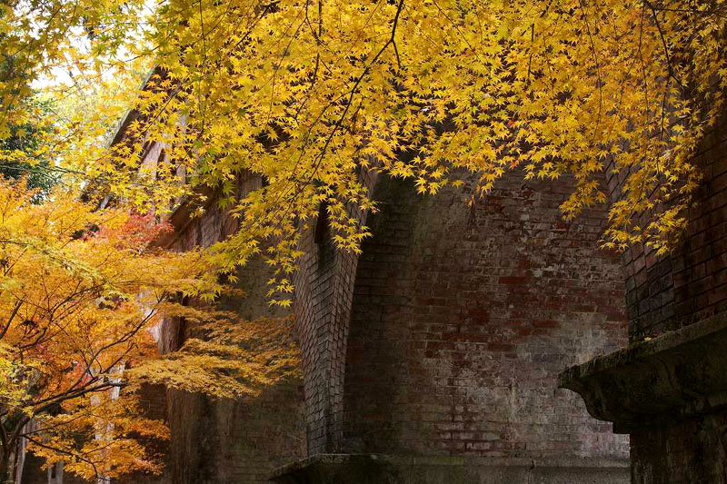 京都・南禅寺付近の紅葉 2007.11.28