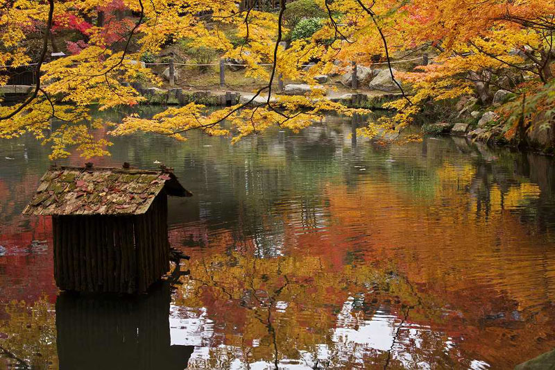 京都・天授庵の紅葉 2007.11.28