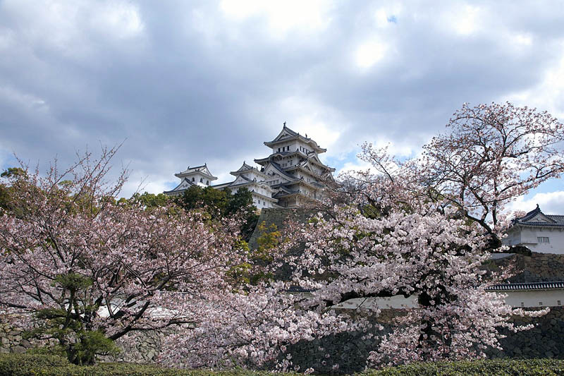 姫路城の桜 2007/4