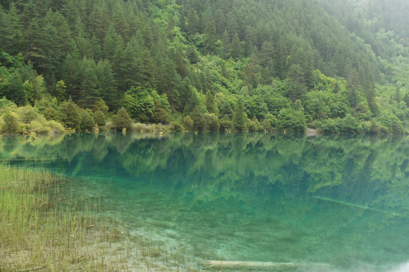九寨溝/中国 2010.6.30 08:42