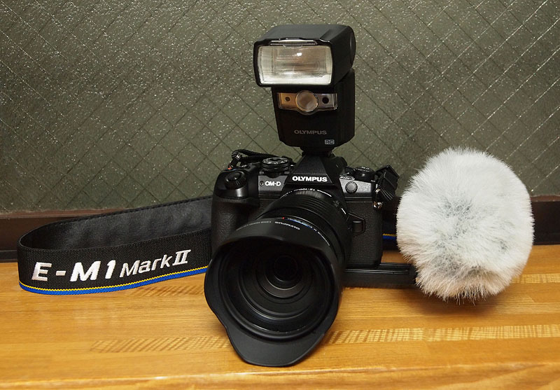 OLYMPUS OM-D EM-1 Mark II ・フラッシュFL-600R・外付けマイクAT9945CM