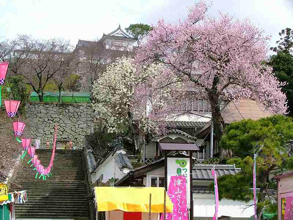 津山さくら祭り 2007.4.1