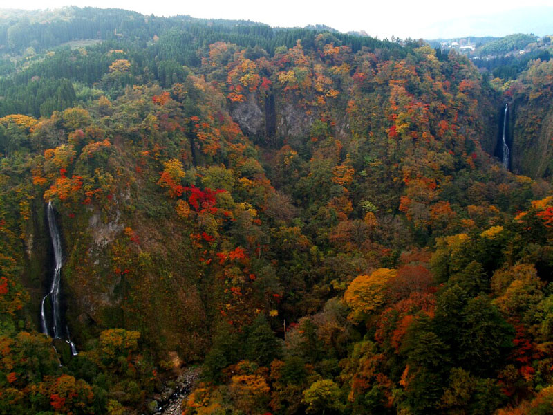 九重『夢』大吊橋の紅葉