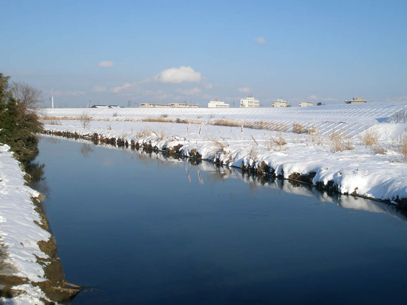 雪の杭瀬川