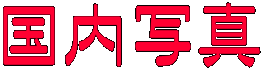 国内写真