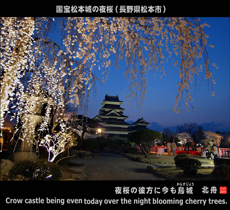 国宝松本城の夜桜(長野県松本市)
