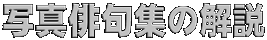 写真俳句集の解説
