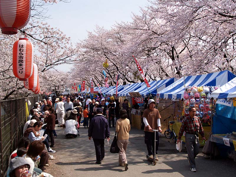 露店で賑わう玉川上水の桜並木