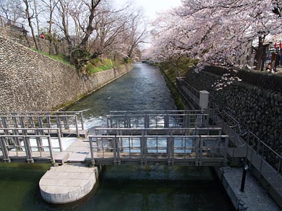 第2水門から先の玉川上水