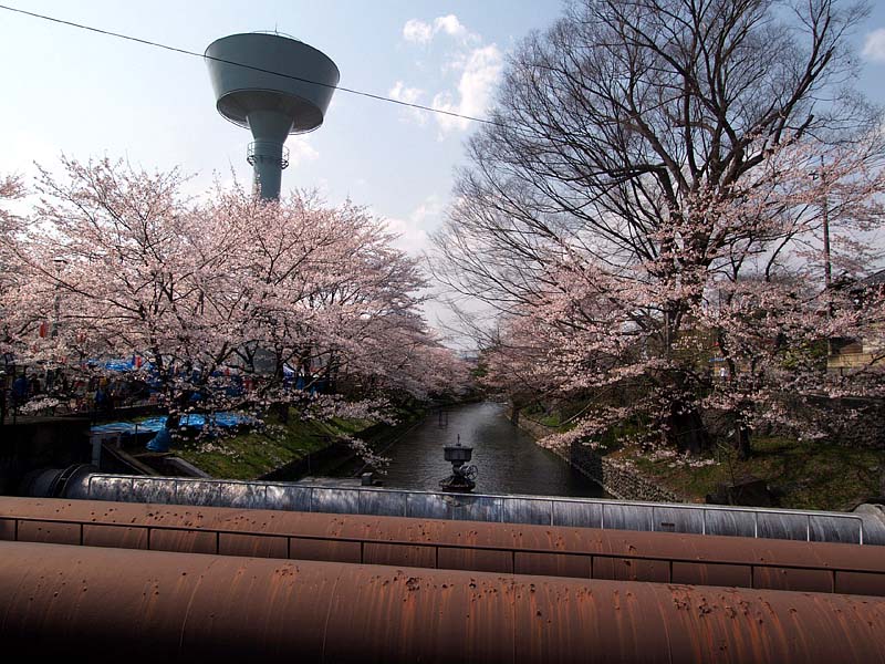 玉川上水の送水管とキノコ型のサージタンク