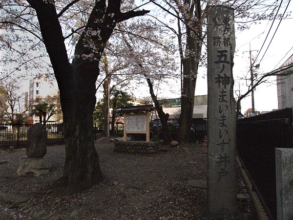 まいまいず井戸