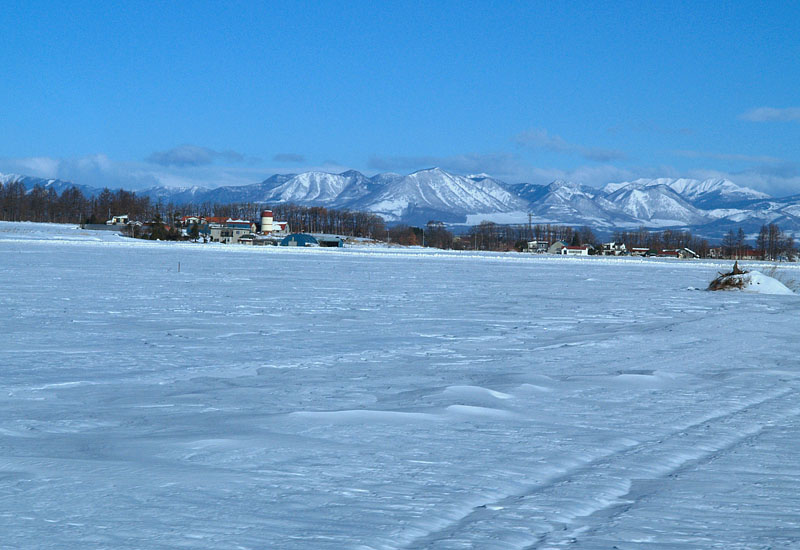 雪の牧場