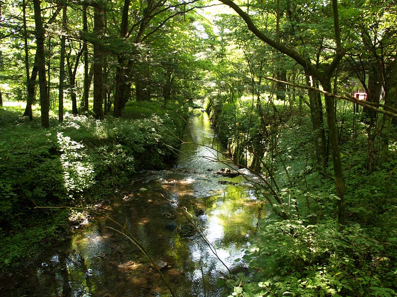 矢ケ崎川