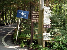 森の中の案内標識