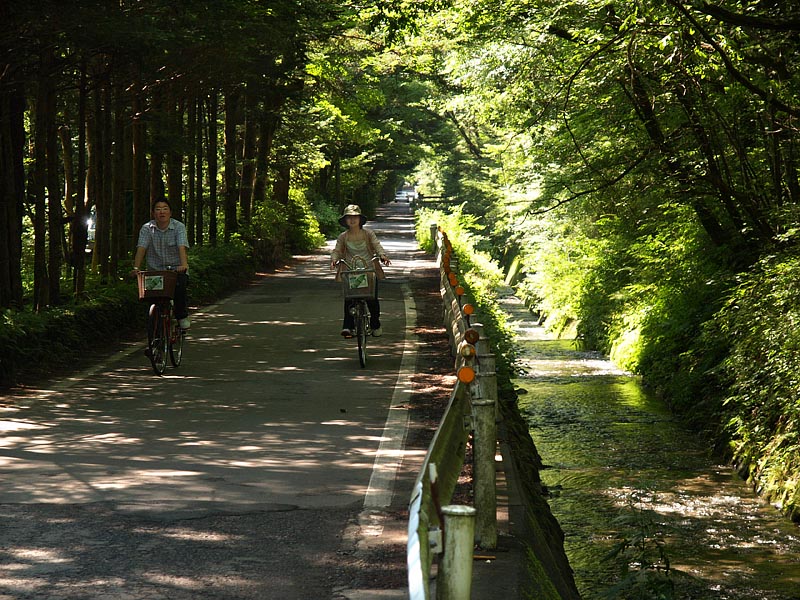 サイクリングコース
