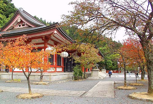 紅葉の本殿金堂