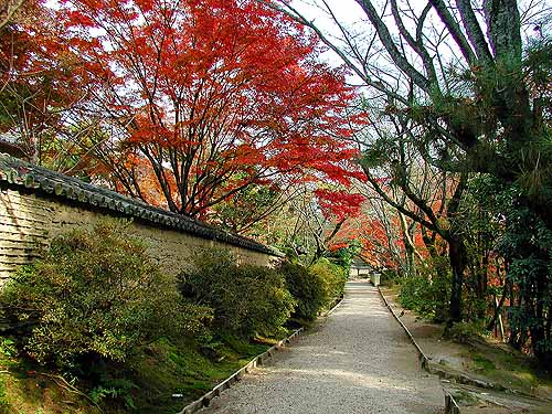 唐招提寺の紅葉
