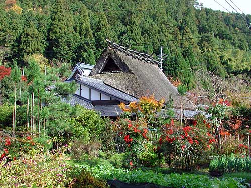 茅葺屋根の家