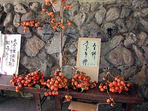 無人のあま柿販売