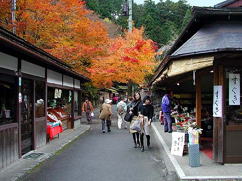 寂光院への道