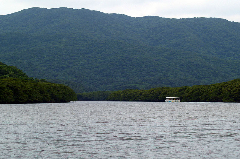 仲間川の上流を目指す観光ボート