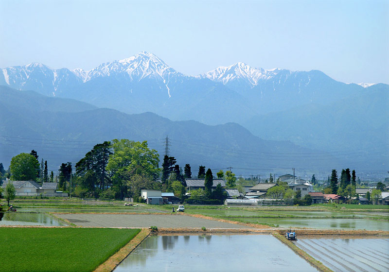北アルプスと水田