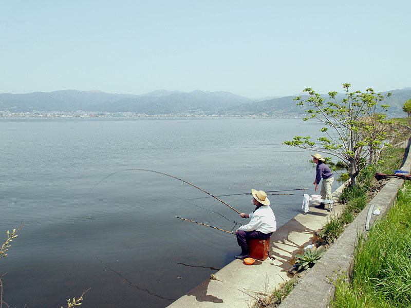 釣果あり