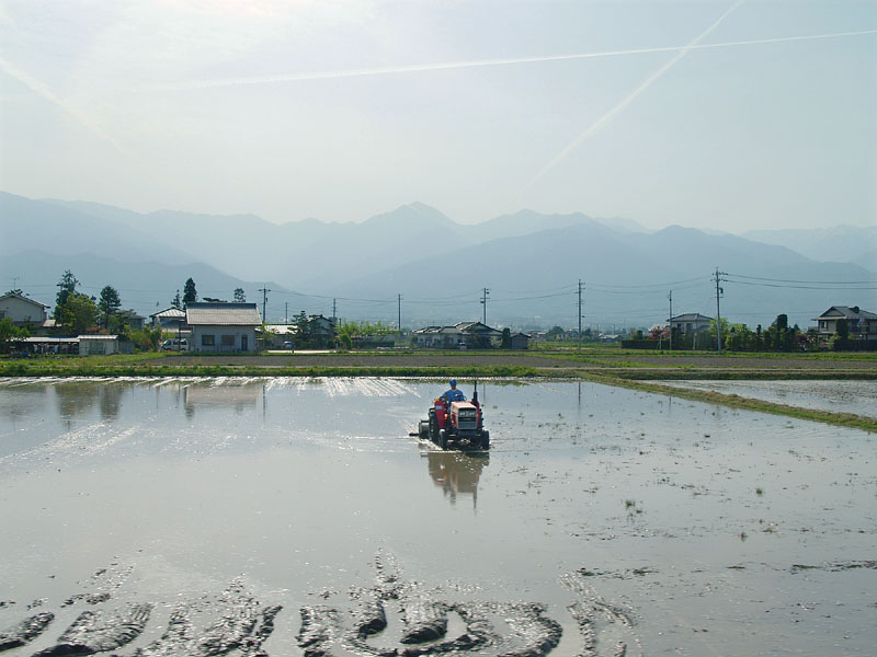 水田のトラクター