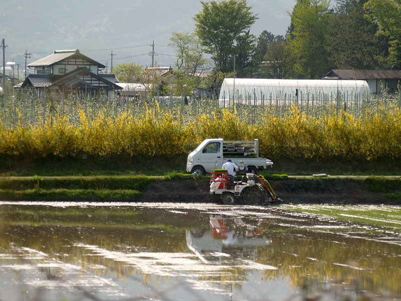 田植機の夫婦