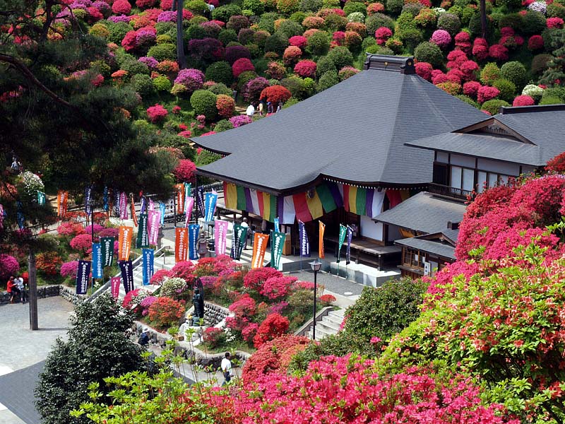 塩船観音寺