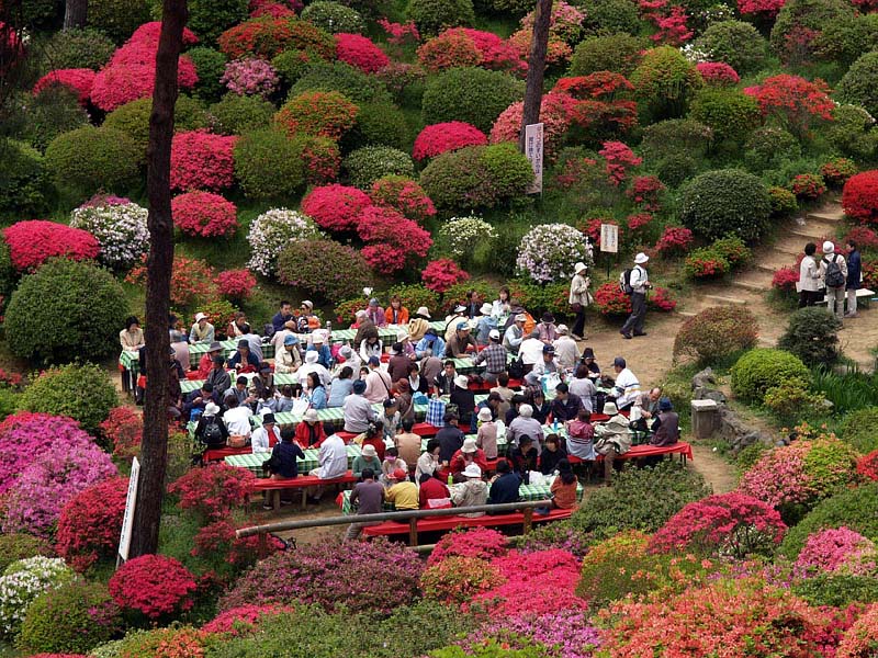 花見の宴