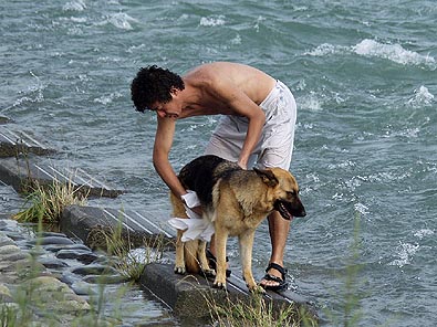 愛犬の水浴